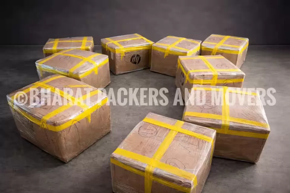 Carton Boxes Shifting from Patna - real job photo by Bharat Packers and Movers